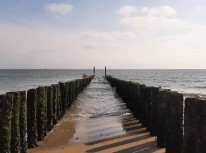 Das Bild zeigt eine Buhne, die ins Meer verläuft, vom Strand aus fotografiert.